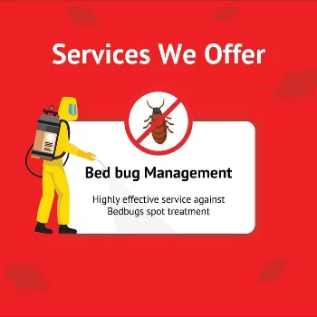 Expert Bed Bug Management in kutch at BUGMAN | Pest Control Services Adipur, Gandhidham - kutch, Abrama