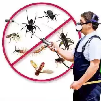 Snake Repellent & Revulsion Services in kutch at BUGMAN | Pest Control Services Adipur, Gandhidham - kutch, Abrama
