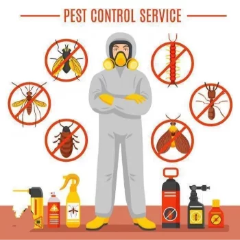 Cockroach Pest Control Services in kutch at BUGMAN | Pest Control Services Adipur, Gandhidham - kutch, Abrama