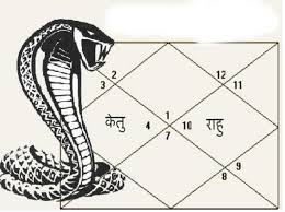 काल सर्प दोष पूजन | Mahakal Jyotish Kendra | Maharana Pratap Nagar, Ujjain