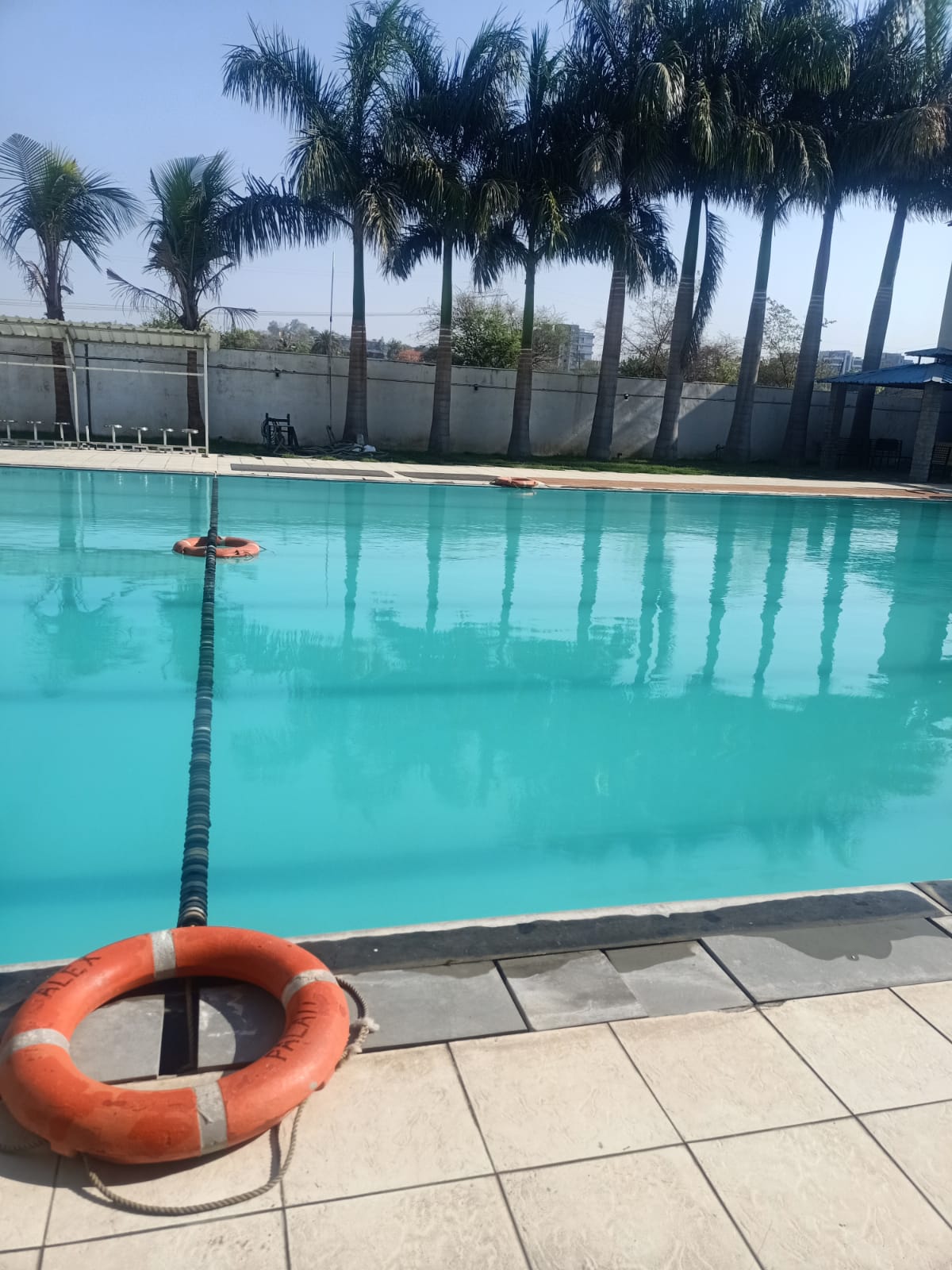 Neeraj Swimming Coach Reeti Furniture 10 Balda Colony In Front Of Community Hall Indore