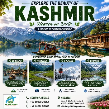 KASHMIR PARADISE TOUR S B TRAVELS AND SERVICES SHOP NO 3 A MARKET SECTOR 2