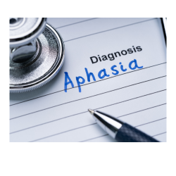 Initial Assessment and Diagnosis Doctor (Physiotherapist) Silicon City