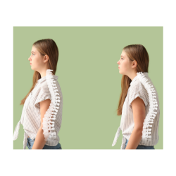 Postural and Ergonomic Assessment Doctor (Physiotherapist) Silicon City