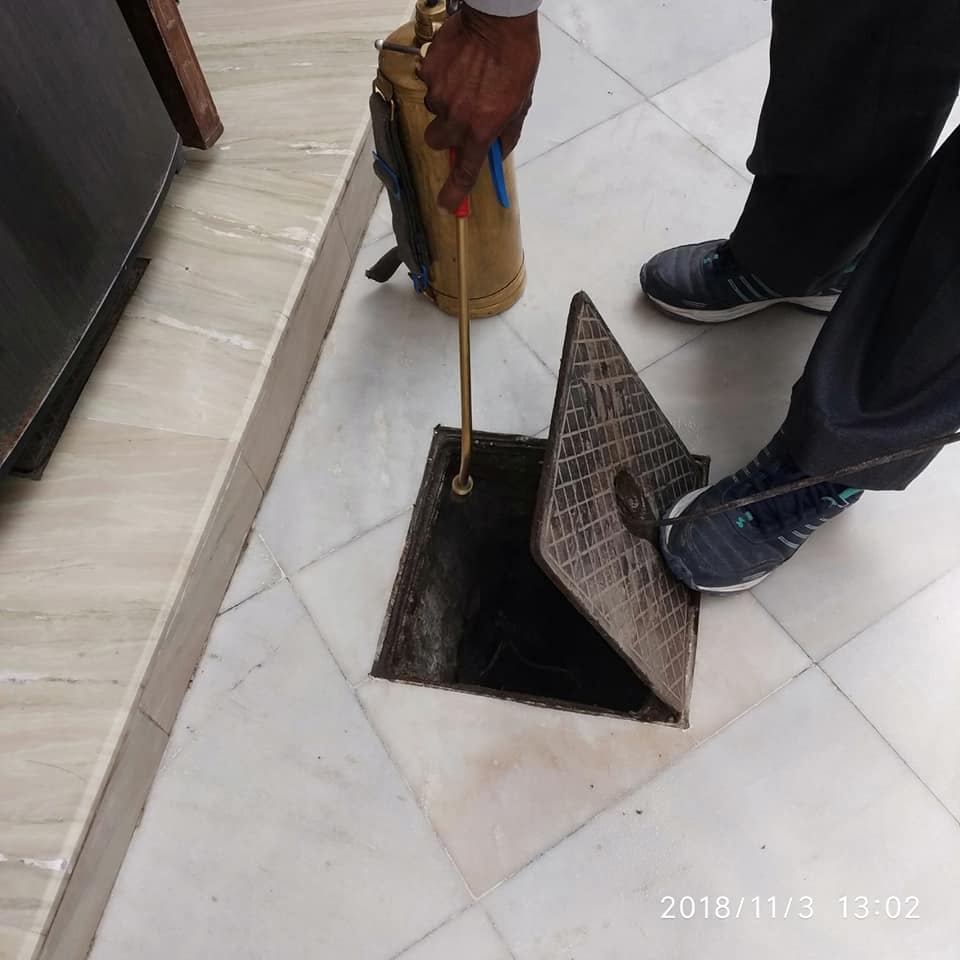 Cockroach Control Services | Zed Protection Pest Management Services | 13, Hemvihar Baltana 
S.A.S Nagar District Mohali Punjab 140604