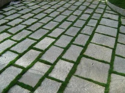 Export Paving Stone in Agar — Soni And Sons Stones Soni And Sons Stones O-3,Balak Complex, Tili Road, Sagar, India, Madhya Pradesh