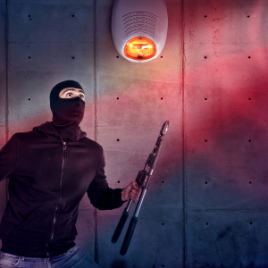 Theft Alert Service | R Cube Systems | Sreema Lane Banamali Road P.O, Karimganj, Assam