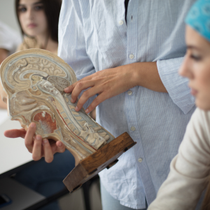 Expert Home Tutoring for 11th and 12th Bio – All Boards | HK Home Tutors | Vijay Nagar Indore