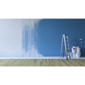 wall paint | Jamali Architect And Interior | Vijay Nagar Indore