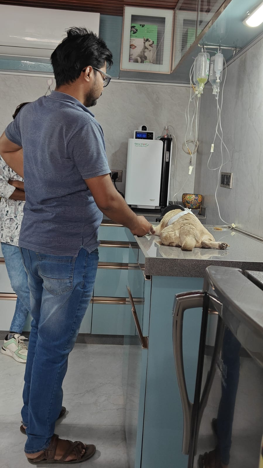 Dog and cat vaccination | Care "N" Cure Dog Clinic & Dog Hostel | 1AF Shivam Place, Scheme No. 54 Vijay Nagar, Scheme No 74, Indore, Madhya Pradesh 452010, India