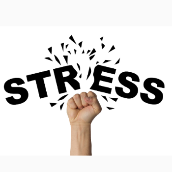 Stress | Matoshri Multi-speciality Clinic | Kothrud,pune