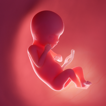 Normal Delivery | JEET HOSPITAL | Kotla ,Dholpur, Rajasthan