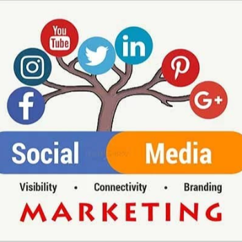 Social Media Marketing (SMM) | Vyaparify Rubinus Private Limited | 1207, 12th Floor,  SKYE CORPORATE PARK, AB Road,  Indore, Madhya Pradesh 452010