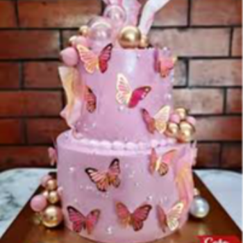 Bespoke cakes Choco Passion By Samta Jain 39 C, Chakraberia Rd S, Paddapukur, Bhowanipore, Kolkata,