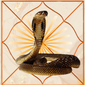 कालशर्प दोष पूजन/Kaalsharp dosh puja in Ujjain | श्री  गोवर्धन ज्योतिष एवं अनुष्ठान केंद्र उज्जैन | लिग सेकेंड हाउस नंबर 6, स्ट्रक्चर बिल्डिंग, उद्योगपुरी, संदीपनी नगर, उज्जैन, मध्य प्रदेश 456001, भारत