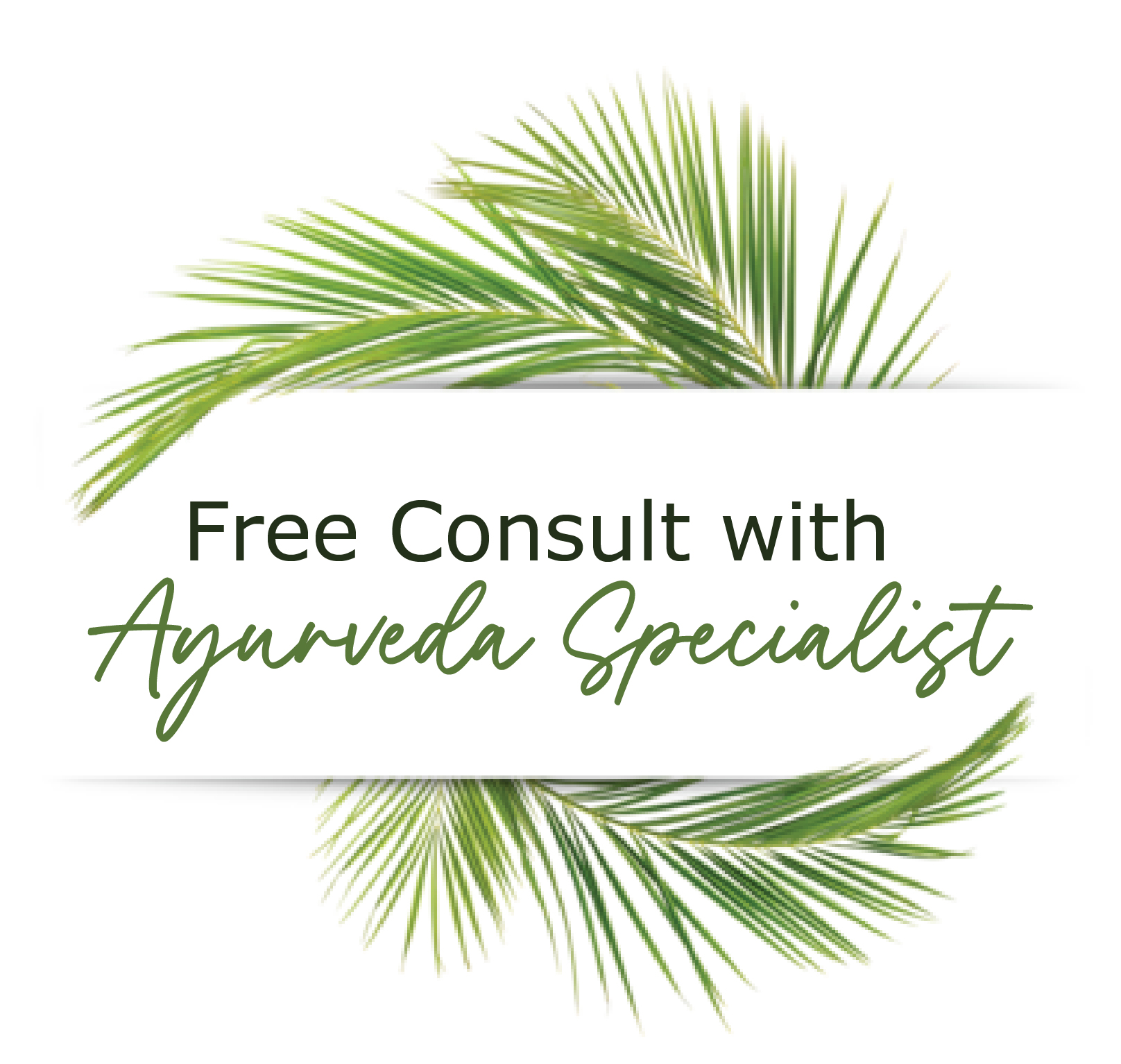 Free Ayurveda Consultation | Dawn Lee | Kanadiya, Madhya Pradesh 452016, India