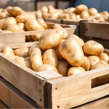 Packaging | Ajay Enterprises Import Export Company | Ajay Enterprises Import Export Company.  Jay Ganesh Vishwa  Shop No 132 , 1 St Floor,  Vishrantwadi Chowk  Air Port Road.  Pune