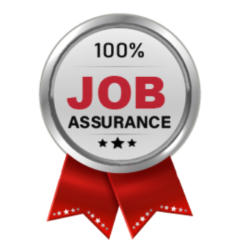 Hundred percent job assistant | Indian Institute | Ramway Plaza, Kharivav Rd, Dandia Bazar, Jambubet, Vadodara, Gujarat 390001