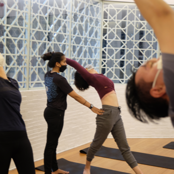 Hath Yoga | Alankar Yoga And Wellness | F3/12, Block F, Malviya Nagar, New Delhi, Delhi 110017, India