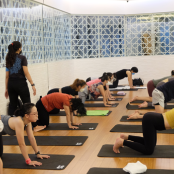 Rhythmic Yoga | Alankar Yoga And Wellness | F3/12, Block F, Malviya Nagar, New Delhi, Delhi 110017, India