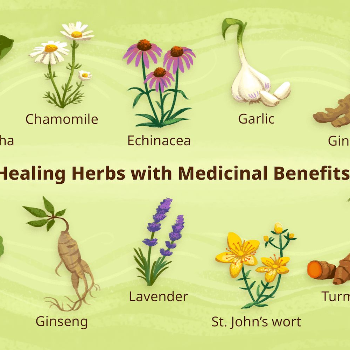 Healing Herbs