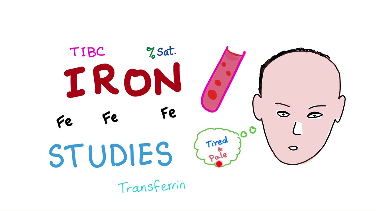 Iron Studies - 1000/- | Pathology Lab | Shop No 1, Ganesh Nagar, Beside Mahalaxmi Temple, New Sangvi, Pune