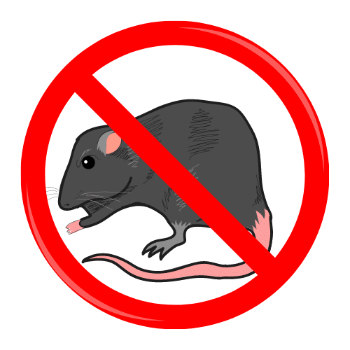 RODENT CONTROL | RAJESHWARI PEST CONTROL SERVICES | Vijay Nagar Morwadi, Cidco Nasik - 422009
