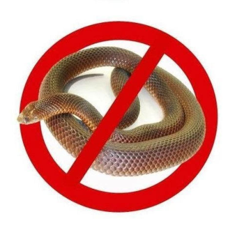 SNAKE CONTROL | RAJESHWARI PEST CONTROL SERVICES | Vijay Nagar Morwadi, Cidco Nasik - 422009