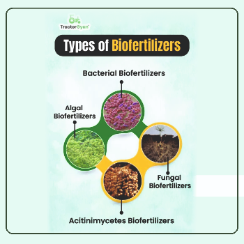 Deal In Bio Fertilizer | Neeraj Naidu Associates | HIG-81 9th Phase, Kukatpally Housing Board Colony, Kukatpally, Hyderabad, Telangana 500072, India