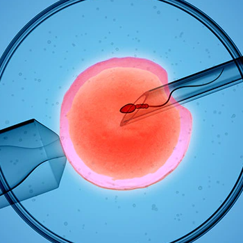 Infertility Treatment | Radhakrishna Hospital | Mumbai - Agra Rd, Near IDBI Bank, Pimpalgaon Baswant, Maharashtra 422209, India