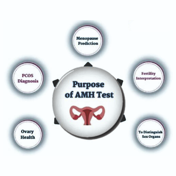 Amh Test Cost in Pune | Golwilkar Metropolis | No 796/189 B, Gr Flr, Construction House, Bhandarkar Road, Pune, 411004