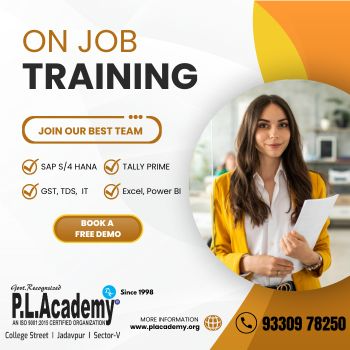 P L Academy | Free Demo Class on E-Filing & Taxation