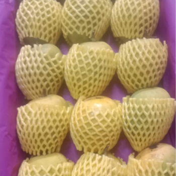 Shiv keri Bhandar | Alphonso mango