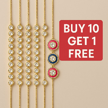 SEQUEL IMPEX PRIVATE LIMITED | Buy 10 Get 1 Free