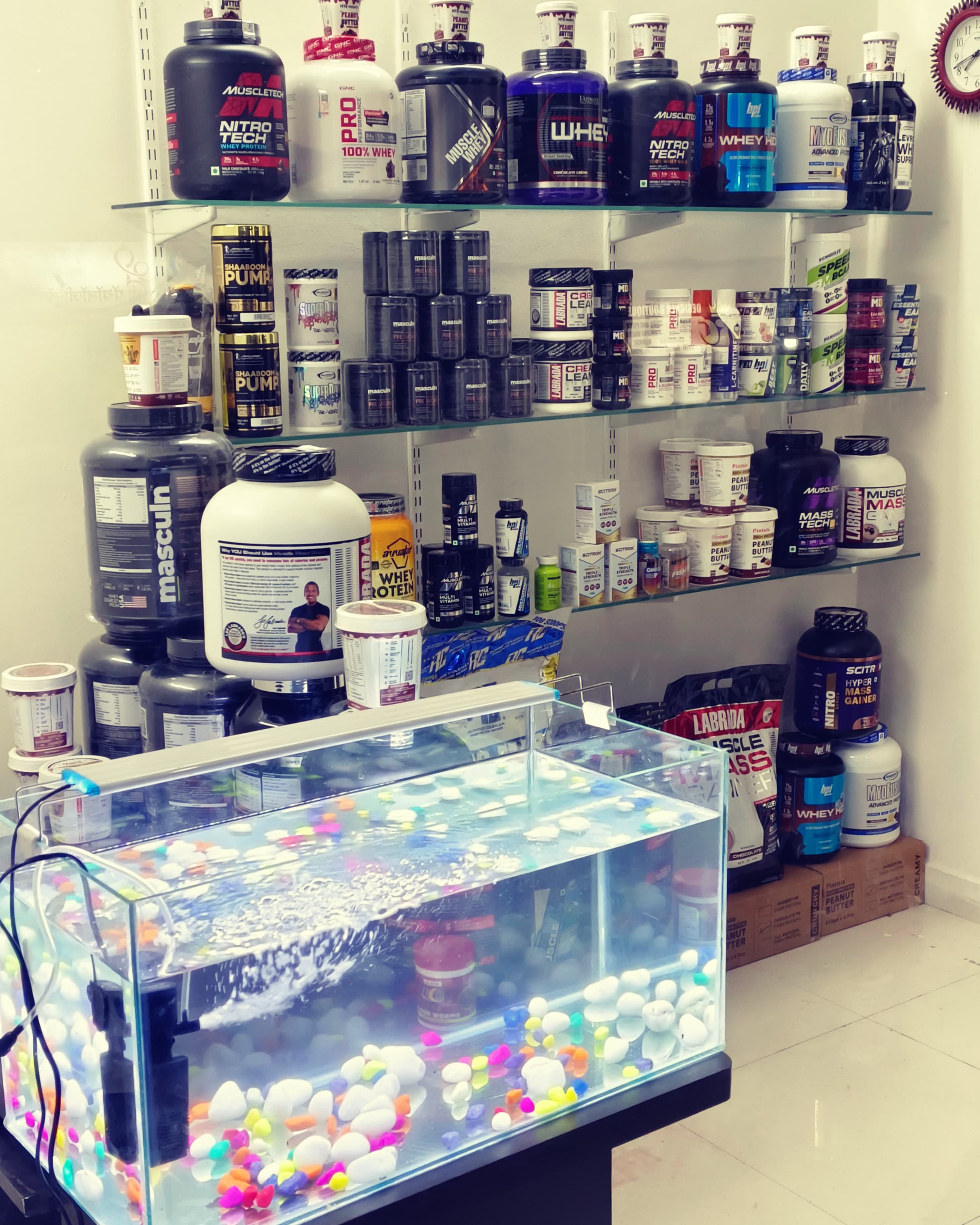 MAKAR SANKRANTI OFFER | SK BODYFUELZ NUTRITION | SV No 40,Sai Dwarika, Office No 1003 ,Yewalewadi 411048