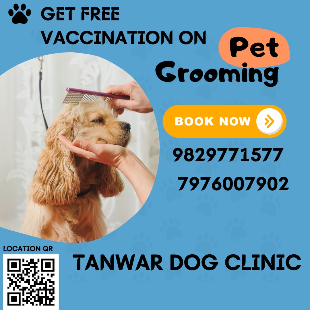 TANWAR DOG CLINIC | Get Free Vaccination on Complete pet Grooming