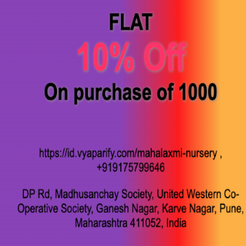 10% Off | Mahalaxmi Nursery | DP Rd, Madhusanchay Society, United Western Co-Operative Society, Ganesh Nagar, Karve Nagar, Pune, Maharashtra 411052, India
